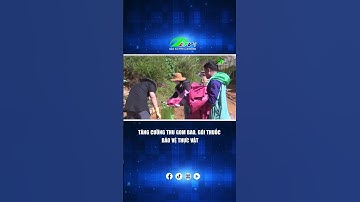 TĂNG CƯỜNG THU GOM BAO, GÓI THUỐC BẢO VỆ THỰC VẬT