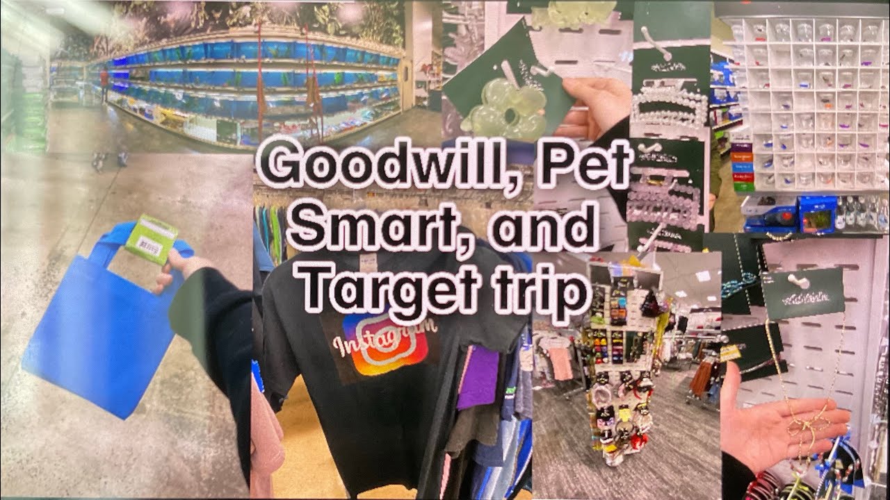 Goodwill, Pet Smart, and Target trip Instagram shirt, sewing patterns