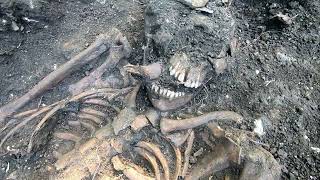 More stories from Bukovlje #76  - Discovering skeletons