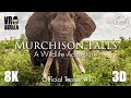 An elephants intelligence  murchison falls  official teaser 1 8k 3d 360 vr