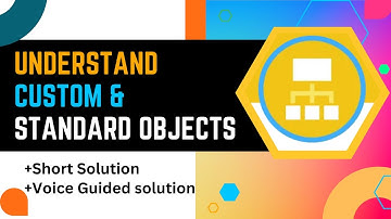 Understand Custom & Standard Objects ||  Data Modeling