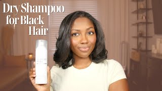 Dry Shampoo for Black Hair | Can Black Girls Use Dry Shampoo? | Niara Alexis