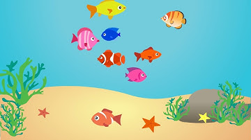 2D fish animation in Adobe animate