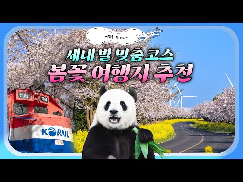 따뜻한 날씨 떠나기 좋은 세대 별 맞춤 봄꽃 <strong>명소</strong> 추천✨ MZ는 트렌디하게! 3040은 힙하게! 5060은 품격 있게! 어린이는 판다보러?! 여러분의 봄을 완성할 <strong>꽃놀이</strong> 장소🌸