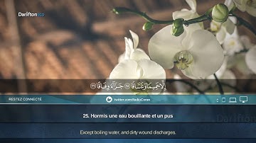 Sourate An-Naba - Qutaiba Zuwayed سورة النبأ قتيبة الزويد