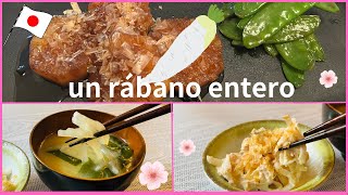 【La comida japonesa 】acompañamiento con un rábano entero by Cocina de Miki 383 views 1 year ago 8 minutes, 41 seconds