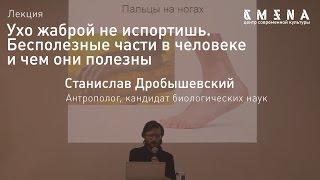 Станислав Дробышевский. Лекция «Ухо жаброй не испортишь. Бесполезные части в человеке»