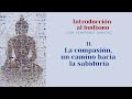 Intro al budismo 11 - La compasión, un camino hacia la sabiduría