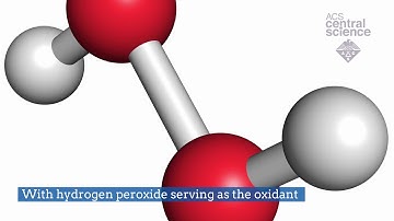 Oxidizing Nonactivated C-H Bonds with Manganese | ACS Central Science