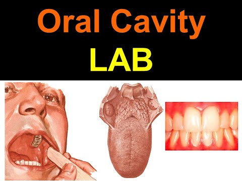 Oral Cavity LAB