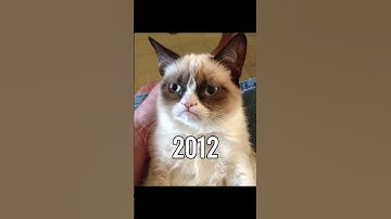 Thumbnail of Famous Cat Memes (Then Vs Now) #meme #memes #catmemes