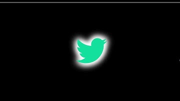 CSS3 Glowing twitter Logo Animation Effects  CSS Animation