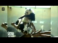 Porno Dancing panda LOL