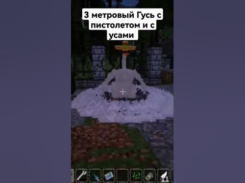 3 метровый Гусь с усами и с пистолетом #рекомендации - YouTube
