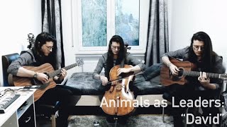 Animals as Leaders: “David” Guitar and Cello cover by Santiago Cañón-Valencia