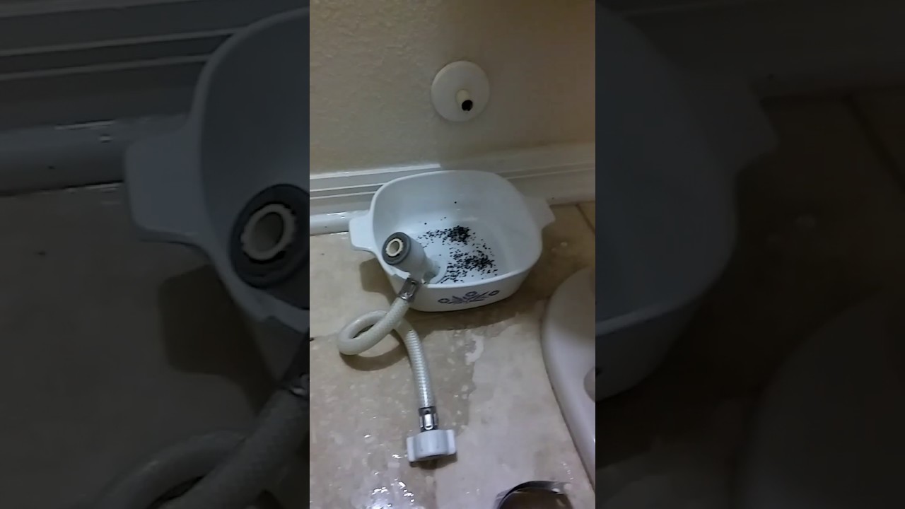 Possible cause of slow toilet fill from ruptured water softner YouTube