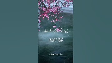 تلاوة جميلة من سورة الزخرف القارئ محمد الحمادي