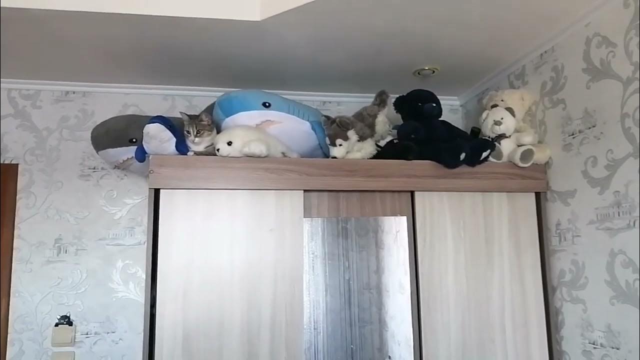 живая игрушка) - YouTube
