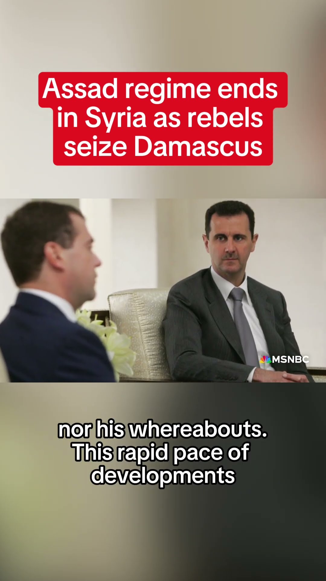 Assad regime ends in Syria as rebels seize Damascus