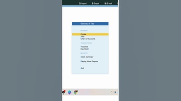 P&L Not Showing in Tally Cheack This #tallybykunal