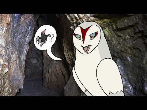 Where Are Your Battleclaws? | Guardians of Ga'Hoole Meme