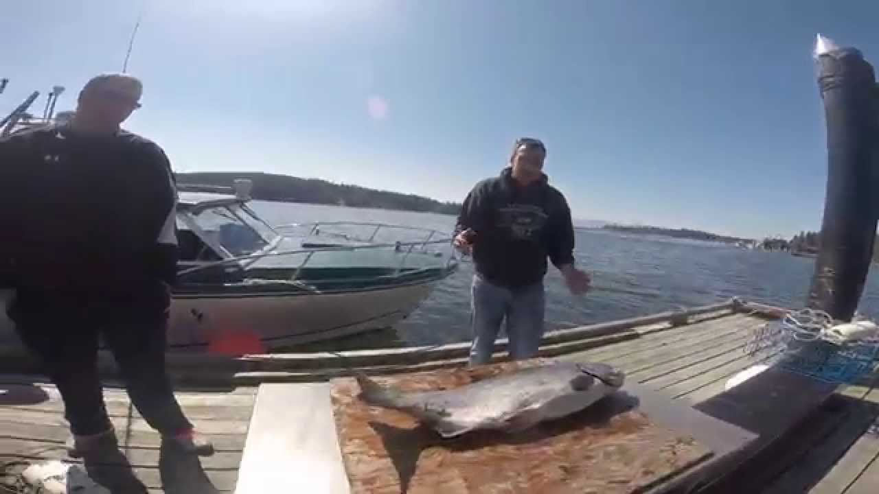 Salmon Fishing in Sooke with VIP Charters YouTube