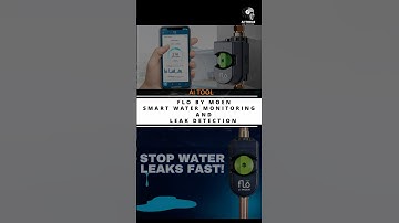 Protect Your Home with AI: Flo by Moen Smart Water Monitoring & Leak Detection!