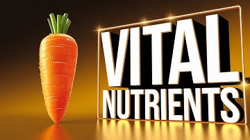 Unlocking the Power of Vitamins: A Deep Dive into A, D, E, and K