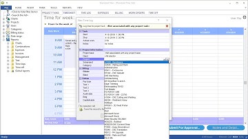 Standard Time® Graphical Timesheet
