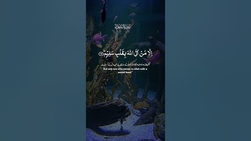 تلاوة عطرة لآيات من كتاب الله #القرآن_الكريم #الله #اكسبلور #foryou #المصحف #راحة_نفسية #fyp