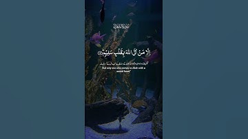 تلاوة عطرة لآيات من كتاب الله #القرآن_الكريم #الله #اكسبلور #foryou #المصحف #راحة_نفسية #fyp