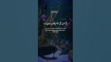 تلاوة عطرة لآيات من كتاب الله #القرآن_الكريم #الله #اكسبلور #foryou #المصحف #راحة_نفسية #fyp