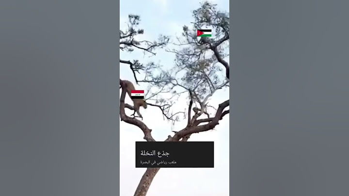 مباراة العراق ومنتخب الاردن ملعب البصرة جذع نخلة كراج حويدر