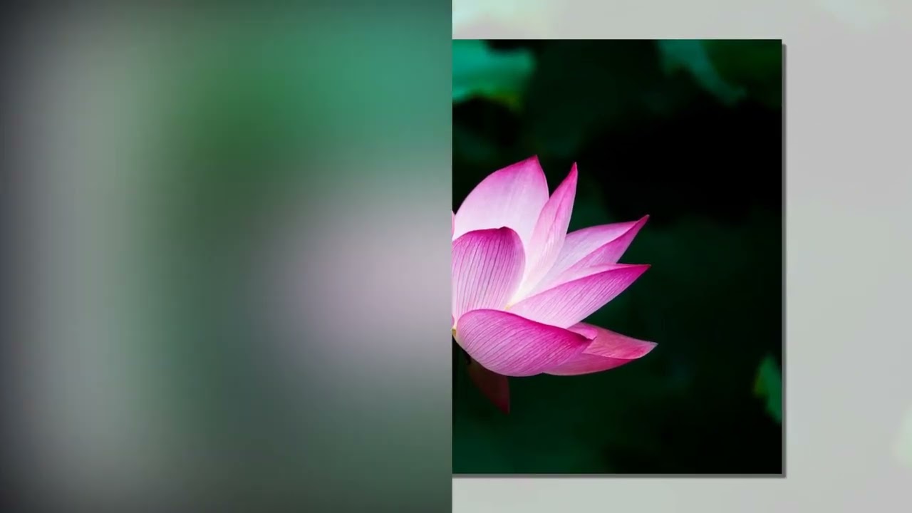 Transition Effect No   39 / Memorial  Tribute Slideshow Video / Funeral  slideshow video