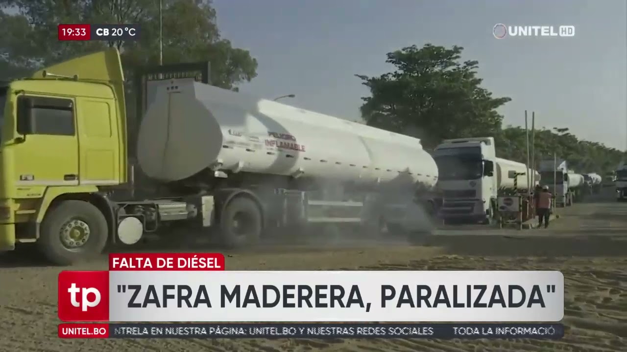 Sector forestal en emergencia: sin diésel y sin producción