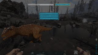 Celebrity Carcharodontosaurus spawn command Ark Wealth