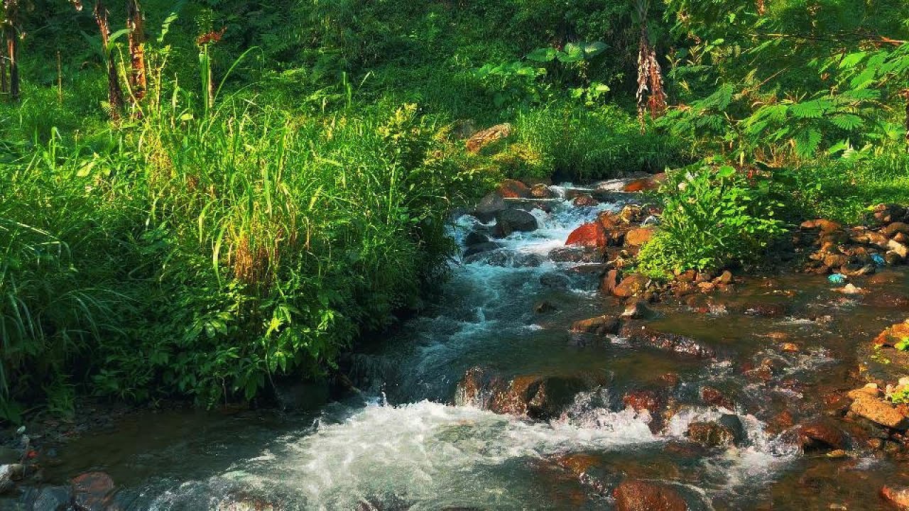 Nature's Gentle River Flow – Peaceful White Noise for Better Sleep, Focus, or Meditation Sessions!