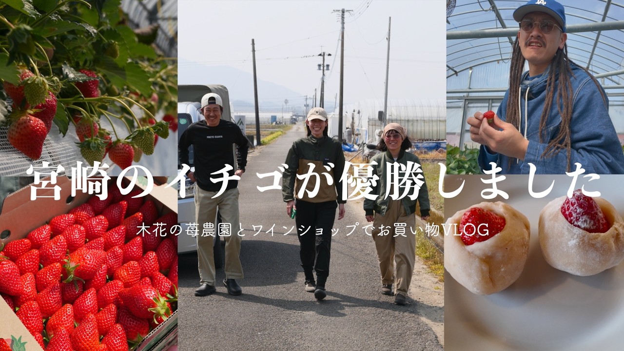 Mountain Life VLOG] The strawberries from Kinohana are so