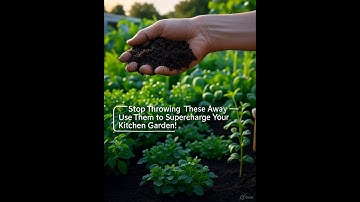 Stop Throwing These Away — Use Them to Supercharge Your Kitchen Garden!