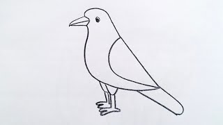 how to draw crow drawing easy step by step@DrawingTalent