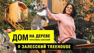 ДОМ НА ДЕРЕВЕ | ПЕРЕСЛАВЛЬ-ЗАЛЕССКИЙ | TREEHOUSE