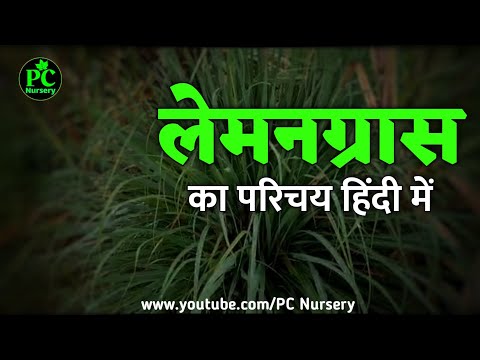 वीडियो: उद्यान सौंदर्य प्रसाधन