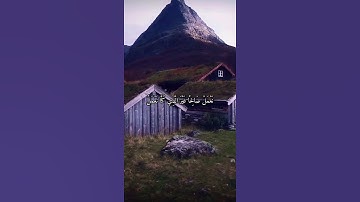 واتس اب قران كريم القارئ ياسر الدوسري (سوره فاطر)