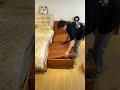 こんなソファ待ってた!レイアウト自由自在、昼も夜も使える癒し家具