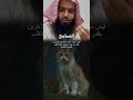 التسامح 🤍🤍