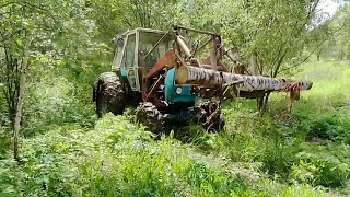 Работа трактора Т-40АМ в лесу