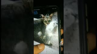 Download Lagu meme #2 #2023 #meme #memes #videolucuterbaru #fyp #fypシ #ngakak #ngakak MP3