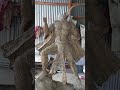     foryou foryourpage vlog viral parvati art statue murtiartist murti