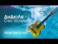 ДиДюЛя & Chris Wonderful - Аквамарин | Альбом | 2017