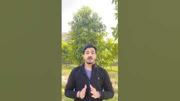 Difference between MP and MLA #gk #shorts #vocabulary #omgclasses #learnenglish #idioms #grammar